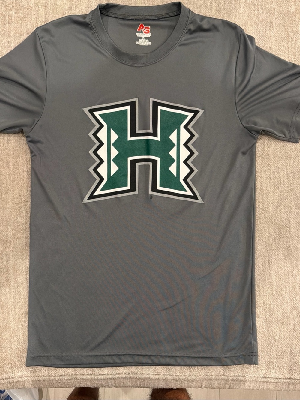 Men’s Grey Hawaii rainbow warriors Athletic Tee cool wear medium